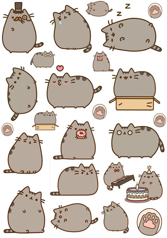 Стикер "котик"