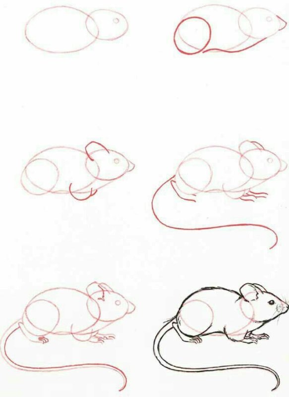 Рисунки карандашом для начинающих