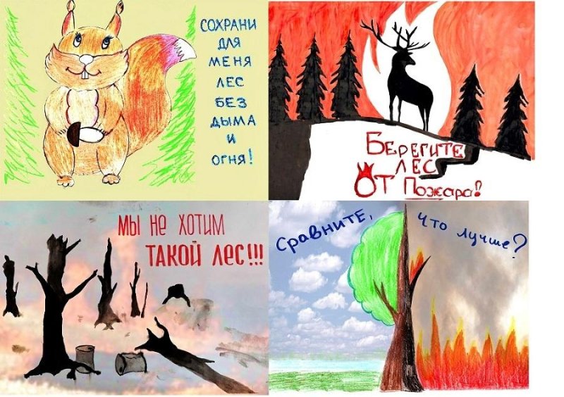 Рисунок на тему сохраним лес