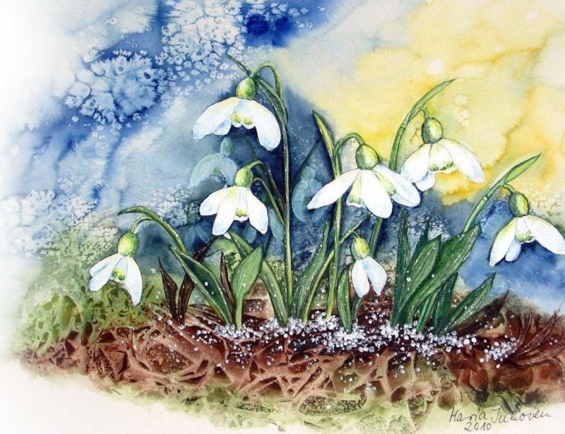 МК подснежники пролески