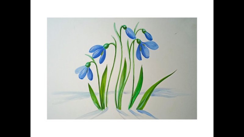 Подснежник рисунок