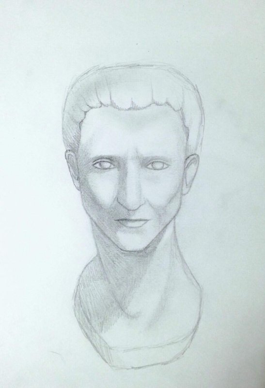 Бюст для рисования