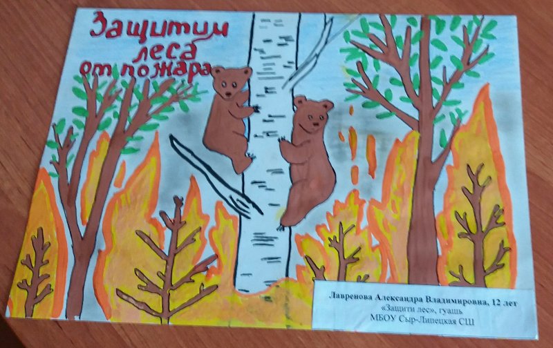 Рисунок на тему береги лес от пожара