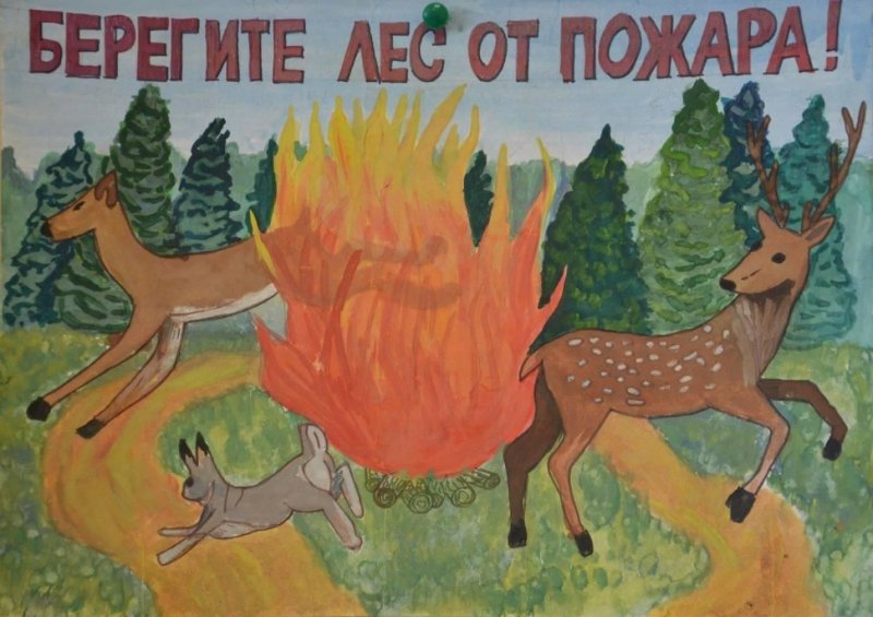 Плакат берегите лес от пожара