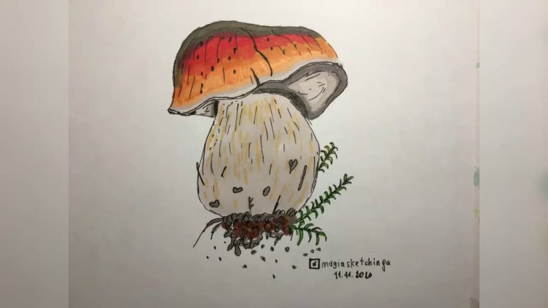 Рисунки фломастерами грибы