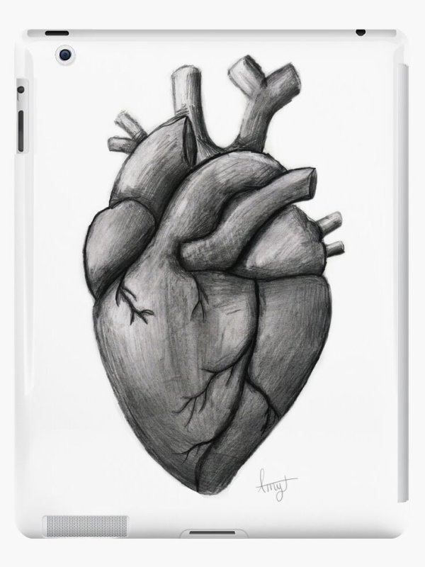 Сердце рисунок