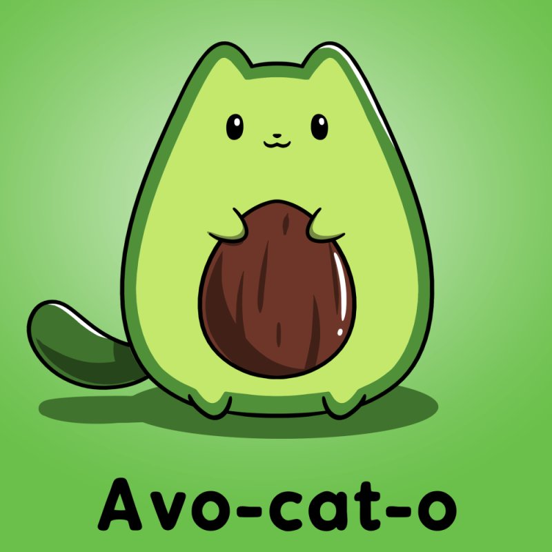 Авокадо котик