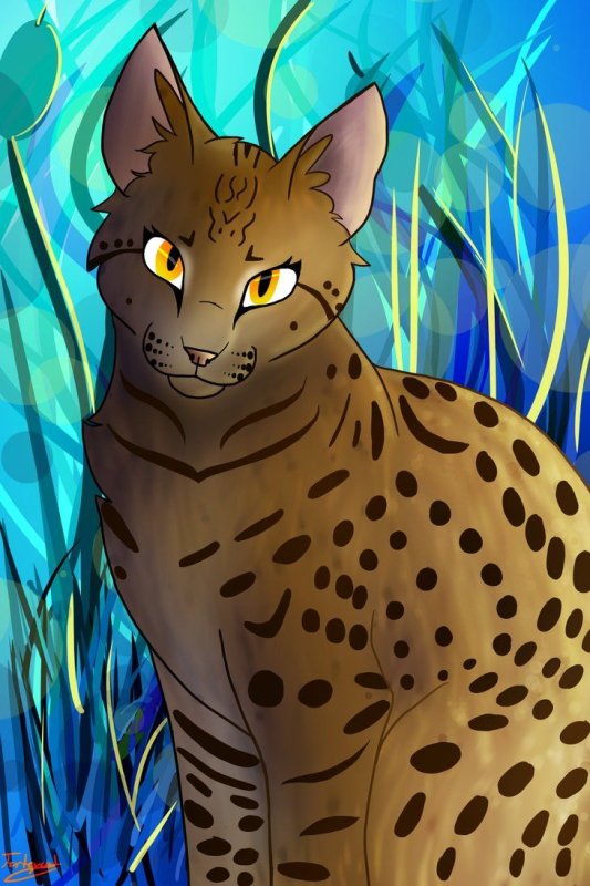 Leopardstar коты Воители
