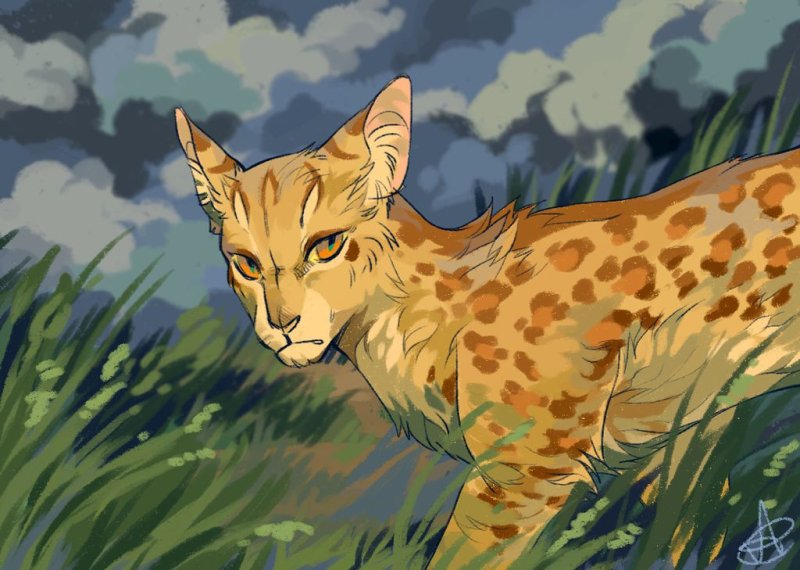 Leopardstar коты Воители