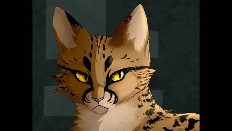 Коты Воители пятнистая звезда
