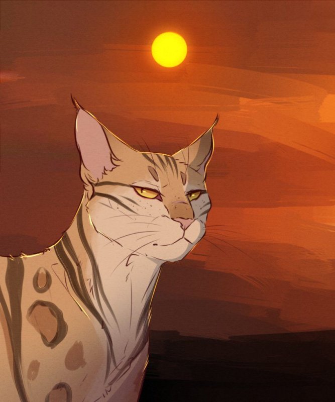 Warrior Cats пятнистая звезда