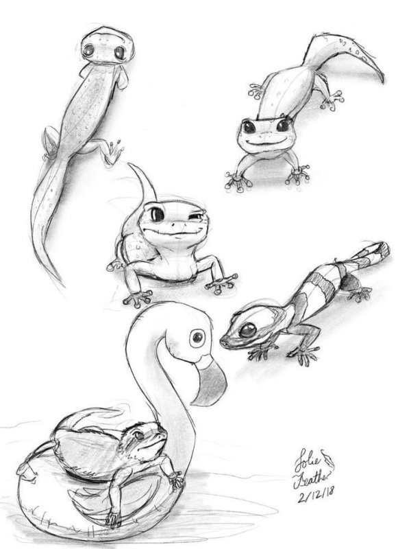 Ящерица рисунок карандашом