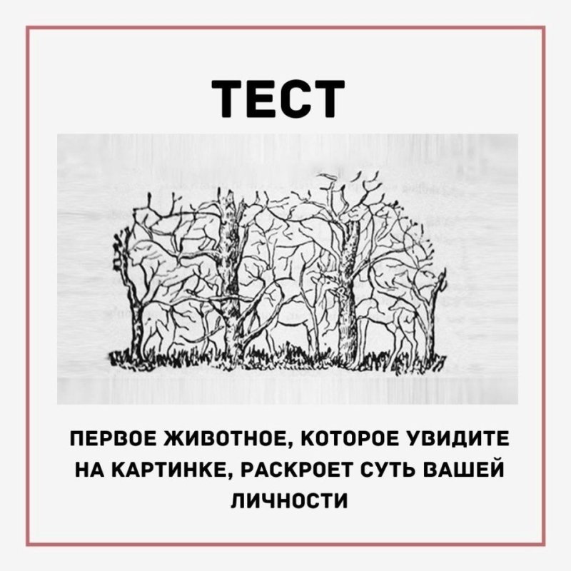 Интересные тесты в картинках