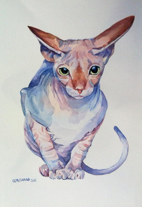 Коты сфинксы