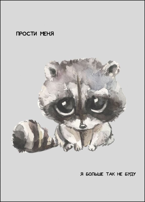 Открытка «енот»