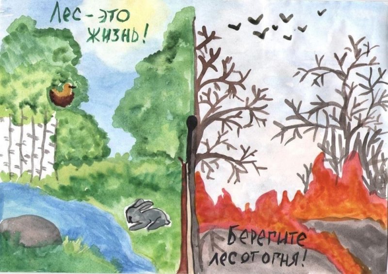 Рисунок на тему защита природы