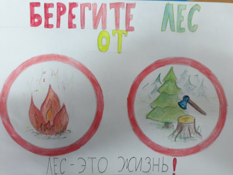 Рисунок на тему защита леса от пожара
