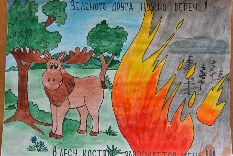 Рисунок берегите лес