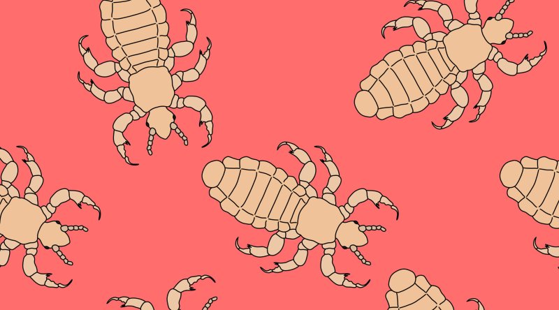Вошь мультяшная