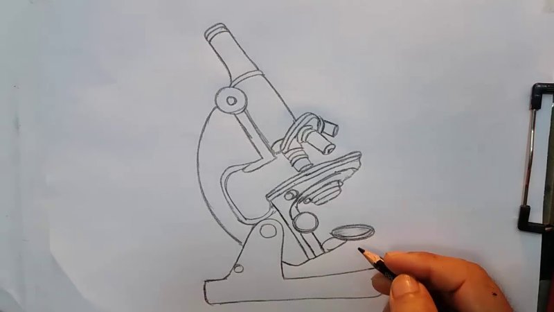 Рисунок микроскопа 5 класс