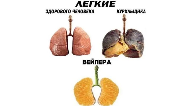 Лёгкие курильщика легкие