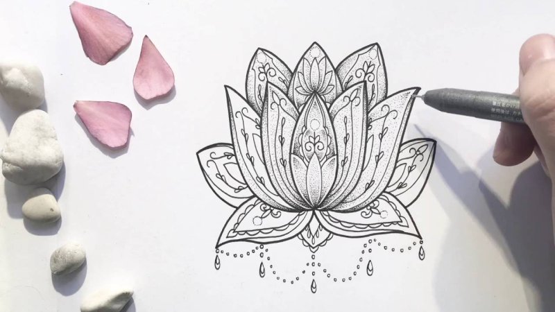 Рисунок лотоса карандашом для срисовки