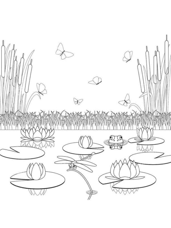 Раскраска для детей озеро в камышах