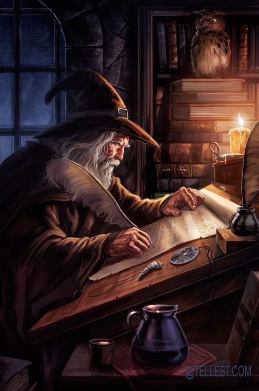 Alchemist Wizard алхимик