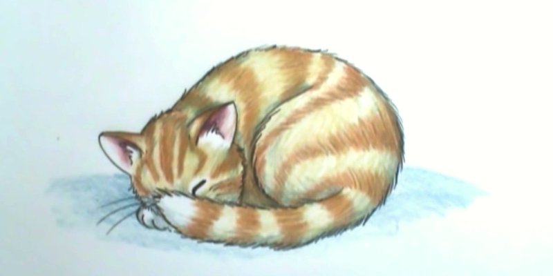 Нарисовать кошку