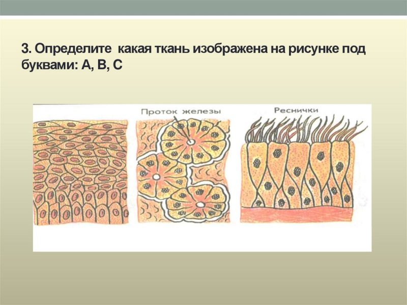 Название рисунков на ткани