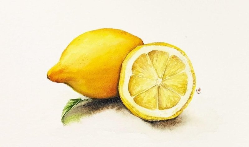 Рисунки фруктов акварелью