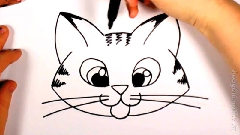 Морда кошки рисунок