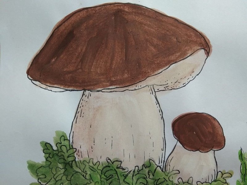Рисование с детьми грибы