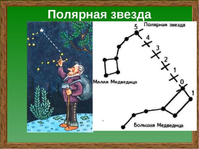 Полярная звезда