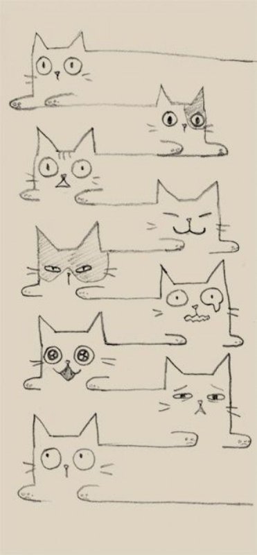 Идеи для рисунков котов
