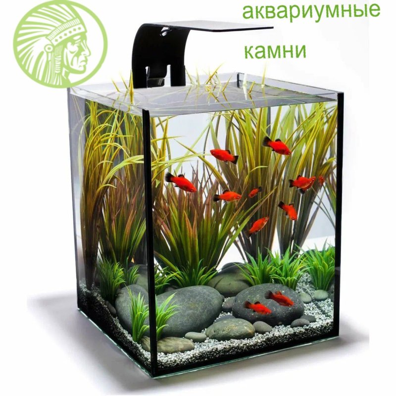 Красивые маленькие аквариумы