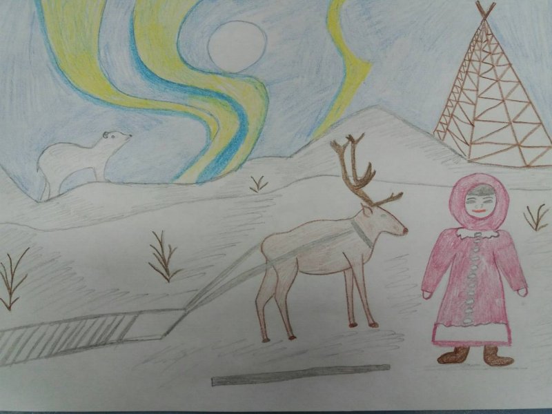 Тундра рисунок карандашом