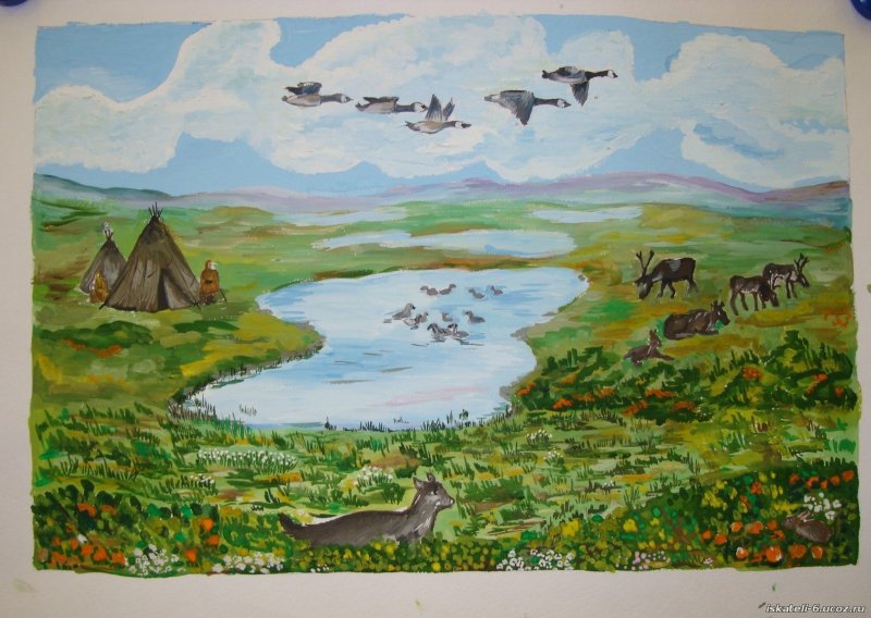 тундра рисунки