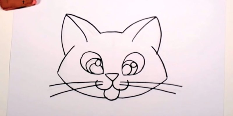Легкий рисунок мордочки кота