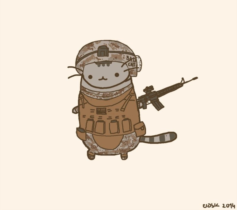 Боевые коты