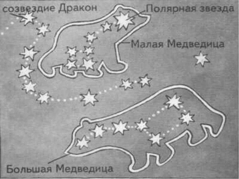 Созвездие малая Медведица и большая Медведица и Полярная звезда