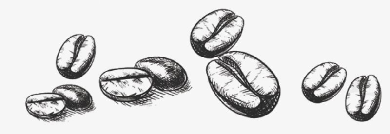 Зерна кофе иллюстрация