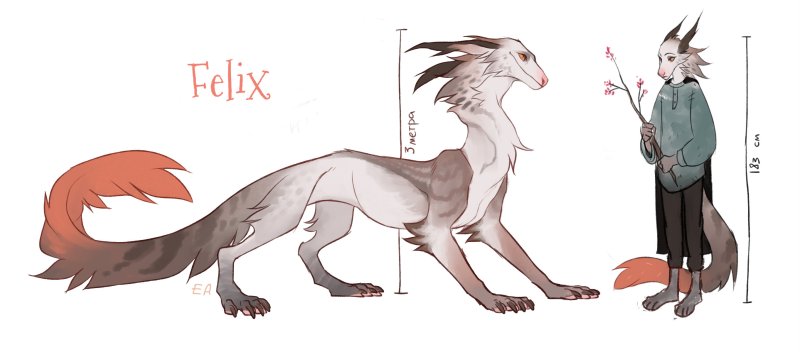 Фурсона хорек