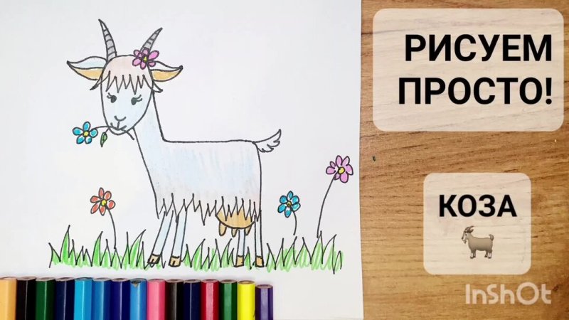 Рисунок козы для срисовки
