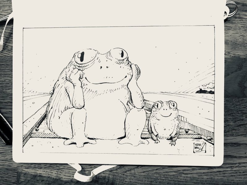 жаба скетч