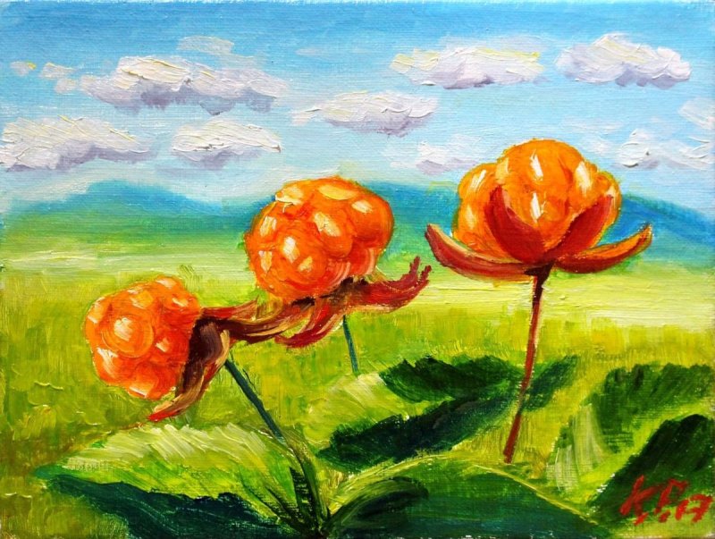 Морошка акварель