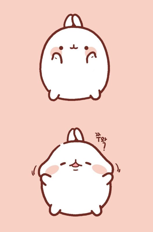 Корейский кролик Моланг