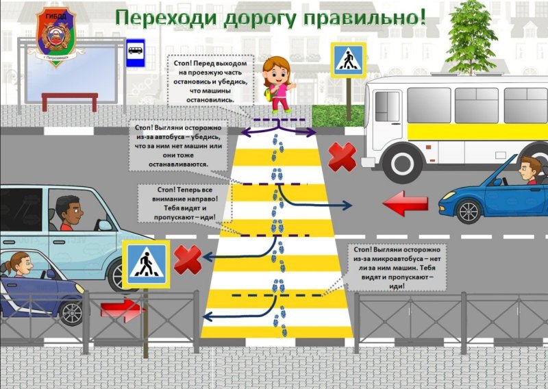 Правила дорожного движения для пешезодо