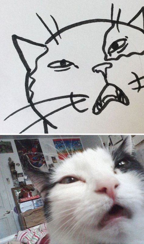 Мемы рисунки