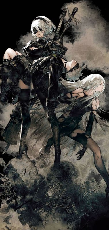 2 B NIER Automata